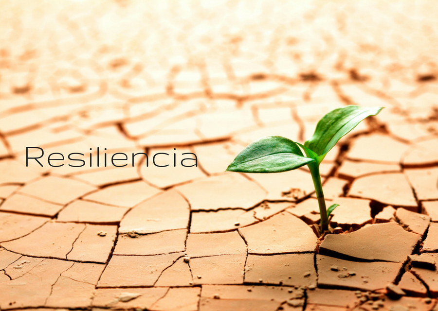 RESILIENCIA