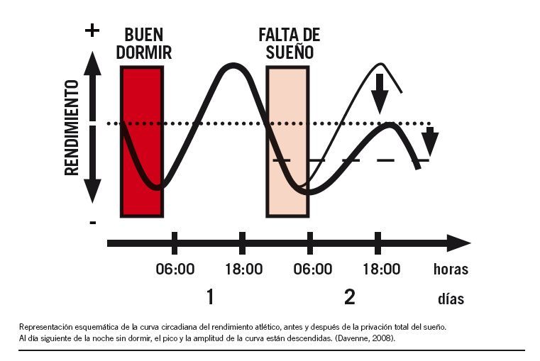 DESCANSO Y RENDIMIENTO