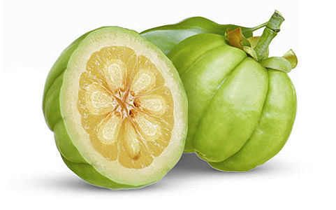 GARCINIA CAMBOGIA