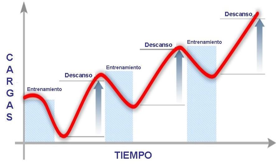 Periodo Competitivo