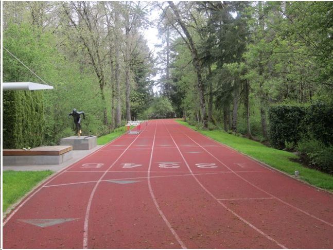El circuito Oregón