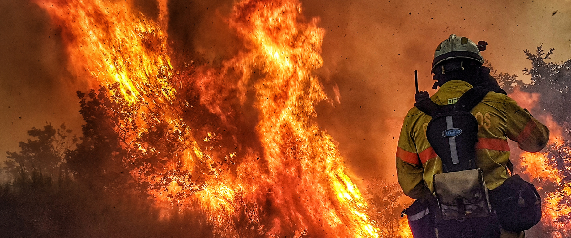 Bombero Forestal